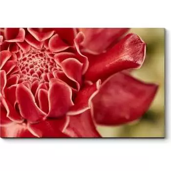 Картина Picsis 4572-10034763