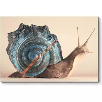 Картина Picsis 6670-13434968