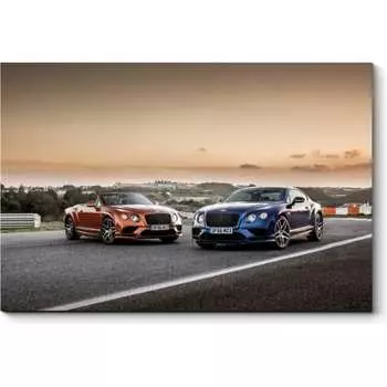 Картина Picsis 1534-9785553