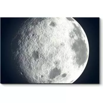 Картина Picsis 2751-10791445