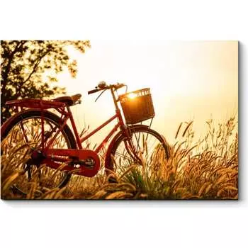 Картина Picsis 2047-9992056