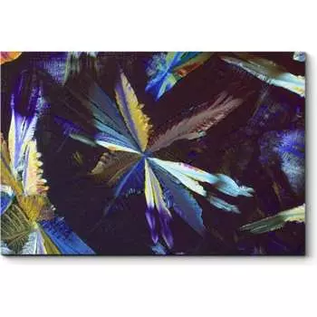 Картина Picsis 3557-10871077