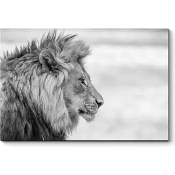 Картина Picsis 4758-10919904