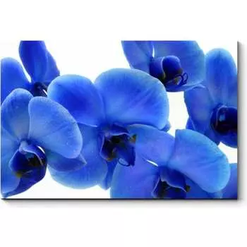 Картина Picsis 1898-10615429