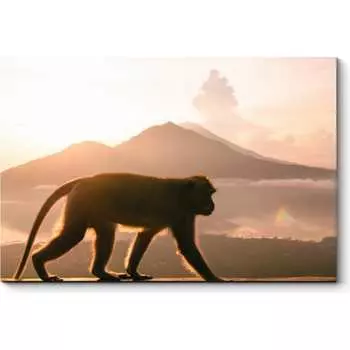 Картина Picsis 968-10486578