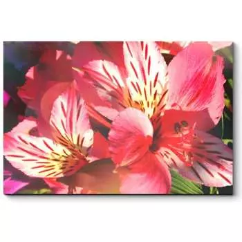 Картина Picsis 4570-10034357