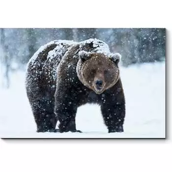 Картина Picsis 4957-10763155