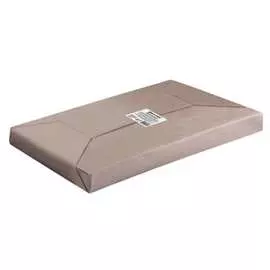 Картон для подшивки документов BRAUBERG 210х297 мм 124877