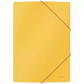 Картонная папка Leitz