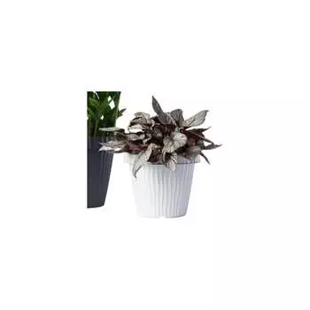 Кашпо Bama Spa ONDA 070957