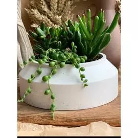 Кашпо для цветов VILLERMO