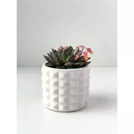 Кашпо для цветов VILLERMO