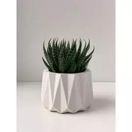 Кашпо для цветов VILLERMO