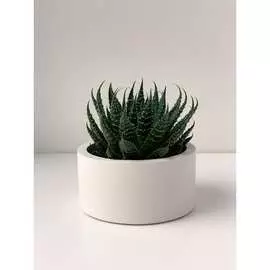 Кашпо для цветов VILLERMO