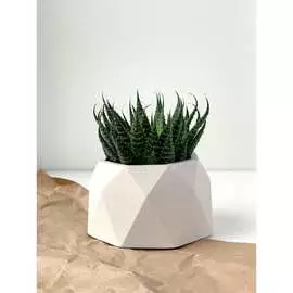 Кашпо для цветов VILLERMO