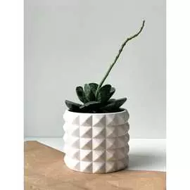 Кашпо для цветов VILLERMO