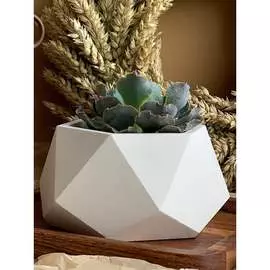 Кашпо для цветов VILLERMO