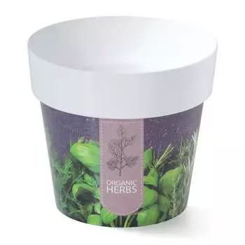 Кашпо для пищевой зелени Prosperplast