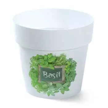 Кашпо для пищевой зелени Prosperplast
