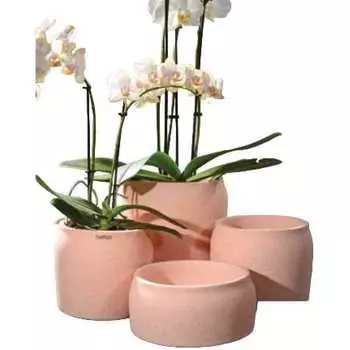 Кашпо SCHEURICH Kbel Potta matt 69217