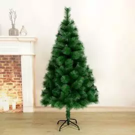 Кедр Зимнее волшебство 701338