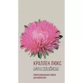 Китайская астра семена Агрони