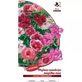 Китайская гвоздика семена Агрони