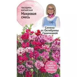 Китайская гвоздика семена ОКТЯБРИНА ГАНИЧКИНА Махровая 119012