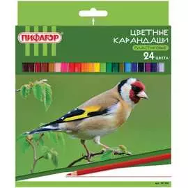 Классические заточенные пластиковые цветные карандаши Пифагор ЛЕСНЫЕ ЖИТЕЛИ 181336