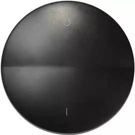 Клавиша для одноклавишного двухполюсного выключателя Simon с пиктограммой графит 88031-38