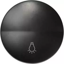 Клавиша для одноклавишного кнопочного выключателя Simon S88 88018-38