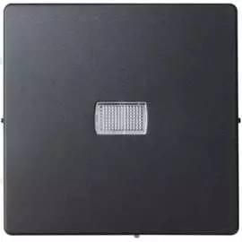 Клавиша для одноклавишного выключателя Simon 8200013-038