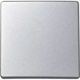 Клавиша для выключателя одноклавишного Simon S73 Loft 73010-63