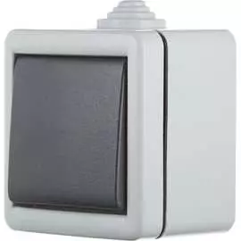 Клавишный однополюсный выключатель Aling-conel