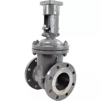 Клиновая задвижка DN.ru 30с941нж ду250 ру16 D040-03778