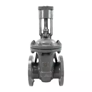 Клиновая задвижка DN.ru 30с941нж ду200 ру16 D040-03777