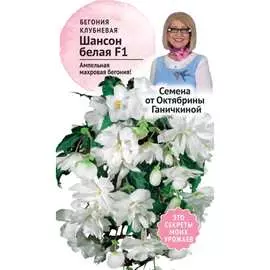 Клубневая бегония семена ОКТЯБРИНА ГАНИЧКИНА