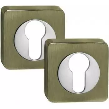 Ключевая накладка PALIDORE CLS (R) AB 98761054