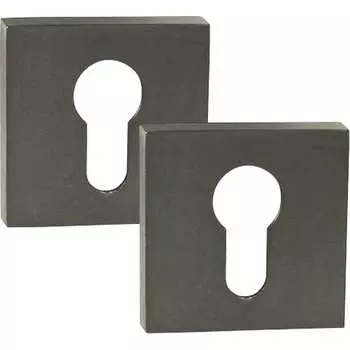 Ключевая накладка PALIDORE CWS BH 98761179