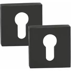 Ключевая накладка под цилиндр PALIDORE CWS BLACK 98761086