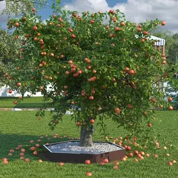 Клумба Благо