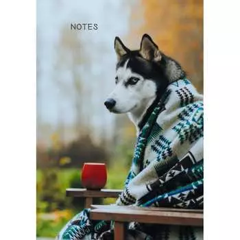 Книга для записей listoff КЗ51003499