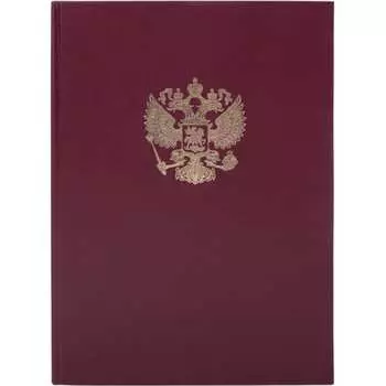 Книга учета BRAUBERG 130276