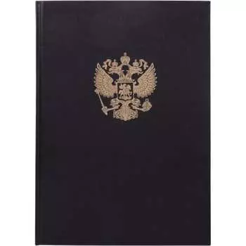 Книга учета BRAUBERG 130275