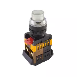 Кнопка TDM ABLFP-22 SQ0704-0032