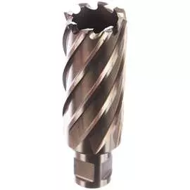 Кольцевая фреза Milwaukee