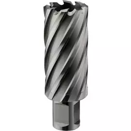 Кольцевая фреза Rotorica RT.4215042