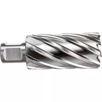 Кольцевая фреза Rotorica RT.4215032