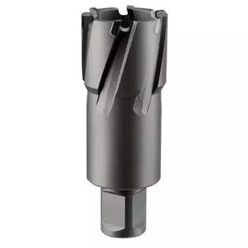 Кольцевая фреза Rotorica