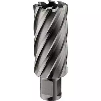 Кольцевая фреза Rotorica RT.4215046